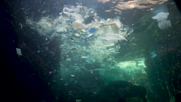 Pollution Marine Des Débris Plastiques Dans Eau Tuant Faune Poubelles — Video