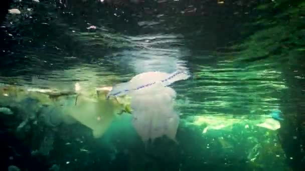海洋污染 水里的塑料碎片 杀死野生动物 塑料垃圾和其他碎片漂浮在水下 保加利亚 — 图库视频影像