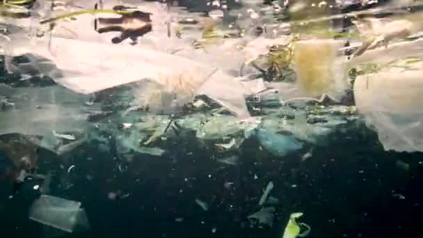 Inquinamento Marino Detriti Plastica Nell Acqua Che Uccidono Fauna Selvatica — Video Stock