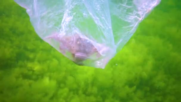 Krabbe Stirbt Plastiktüte Meeresverschmutzung Durch Plastikmüll Schwarzes Meer — Stockvideo