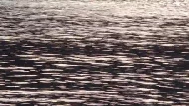 Denizde güneşin sudaki yansıması gibi. Güneşli tavşanlar ve yıldızlar. Suyun üzerinde güneş parlıyor.