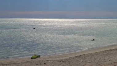 Deniz burnu, kıyıya yakın denizde temiz su, su yüzeyinde dalgalar, Karadeniz