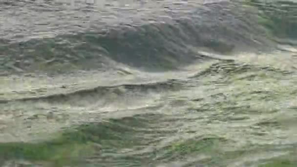 Kıyıya Yakın Denizde Şeffaf Yüzeyinde Dalgalar Karadeniz — Stok video