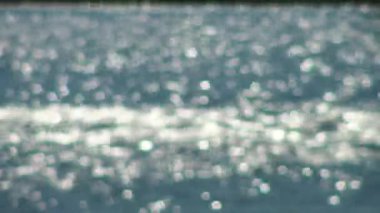 Bulanık güneşli tavşanlar ve yıldızlar. Suyun üzerinde güneş parlıyor..