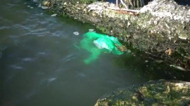Plastik çöp. Bir plastik torba suda yüzer ve sonra batar ve denizin dibine batar, Ukrayna 'yı kirletir.