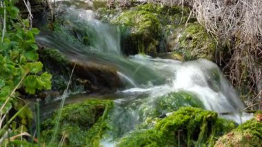 Küçük şelale, Enteromorpha, hızlı akan suda yeşil algler Tiligulsky nehrinin kıyısındaki bir kaynaktan, Ukrayna