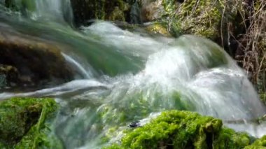 Küçük şelale, Enteromorpha, hızlı akan suda yeşil algler Tiligulsky nehrinin kıyısındaki bir kaynaktan, Ukrayna