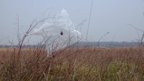 塑料污染环境 植物上的塑料袋 自然界的垃圾 乌克兰 — 图库视频影像