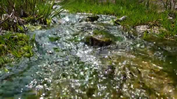 Enteromorpha Algas Verdes Água Corrente Rápida Uma Nascente Sal Nas — Vídeo de Stock