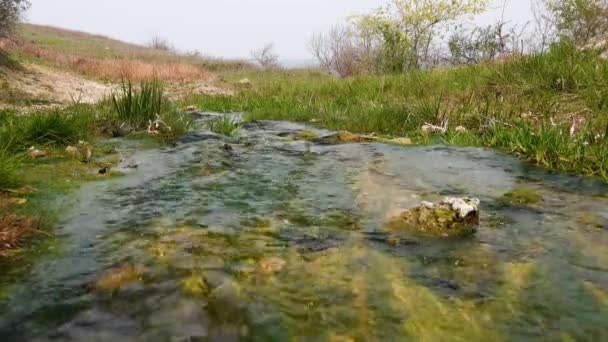 Enteromorpha Algas Verdes Água Corrente Rápida Uma Nascente Sal Nas — Vídeo de Stock