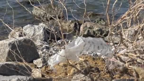 Lixo Plástico Ecologia Mar Lixo Polietileno Decomposição Flutua Água Polui — Vídeo de Stock