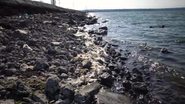 Lixo Plástico Ecologia Mar Lixo Polietileno Decomposição Costa Flutua Água — Vídeo de Stock