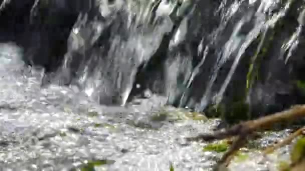 Petite Cascade Enteromorpha Algues Vertes Dans Eau Vive Une Source — Video
