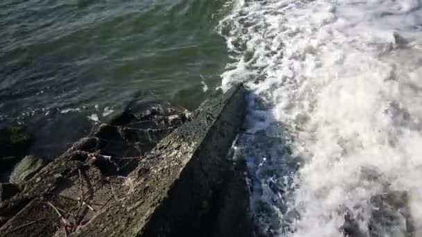 Wasserverschmutzung Schmutzwasser Aus Kläranlagen Fließt Durch Ein Rohr Eine Geschlossene — Stockvideo