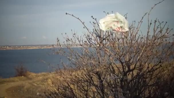 Plastic Trash Plastic Bag Fluttering Wind Clinging Tree Branch Pond — Stock Video