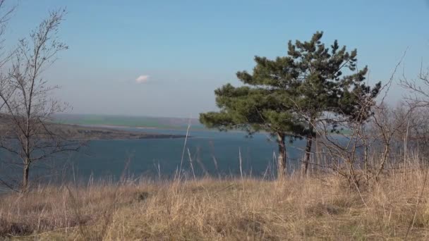 Stranden Tiligul Mynning Furu Bakgrunden Reservoaren Ukraina — Stockvideo