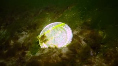 Bitcoin düştü, Bitcoin en altta, bir ayı trendi. Yosun arasında suyun altındaki madeni para