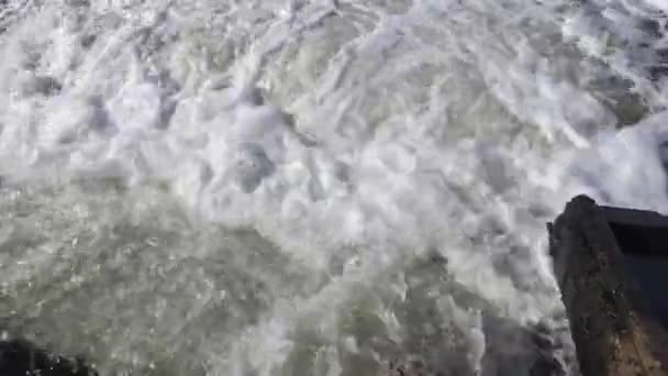 水質汚濁 処理場からの汚れた水は パイプを通って閉じられた河口または湖に流れます 海の生態は 動物を殺す ウクライナ — ストック動画