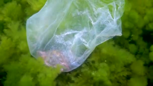Crabe Meurt Dans Sac Plastique Pollution Océan Avec Des Débris — Video