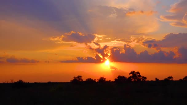 Red Sunset Background Clouds Evening Ukraine — Vídeo de stock