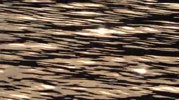 Отражение Солнца Воде Море Солнечные Кролики Звезды Солнечный Блик Воде — стоковое видео