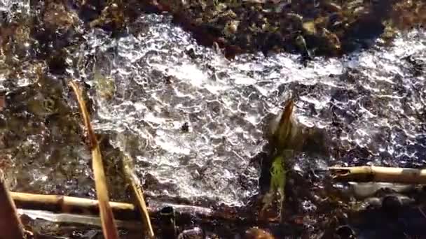 Paisagem Inverno Com Água Congelada Gelo Brilha Sol Lago — Vídeo de Stock