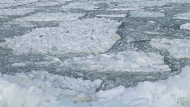 Πλέοντας Πάγο Στην Παγωμένη Μαύρη Θάλασσα Ουκρανία — Αρχείο Βίντεο