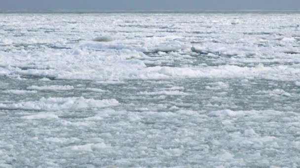 Πλέοντας Πάγο Στην Παγωμένη Μαύρη Θάλασσα Ουκρανία — Αρχείο Βίντεο