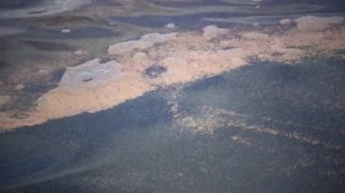 Sahilde tuzlu karides yumurtaları (Artemia salina)