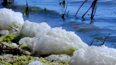 Çevresel sorun ve kirlilik, doğal bir rezervuarın ötrofikasyonu, kıyıdaki kirli köpük