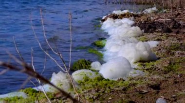 Çevresel sorun ve kirlilik, doğal bir rezervuarın ötrofikasyonu, kıyıdaki kirli köpük