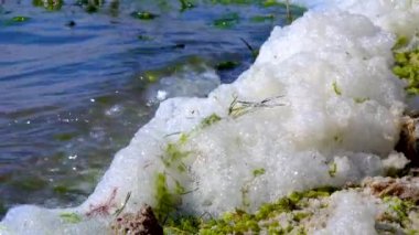 Çevresel sorun ve kirlilik, doğal bir rezervuarın ötrofikasyonu, kıyıdaki kirli köpük