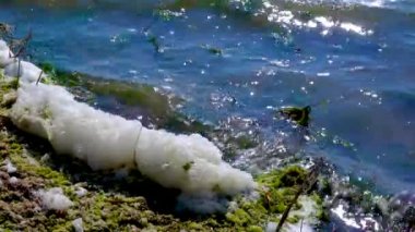 Çevresel sorun ve kirlilik, doğal bir rezervuarın ötrofikasyonu, kıyıdaki kirli köpük