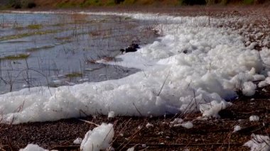 Çevresel sorun ve kirlilik, doğal bir rezervuarın ötrofikasyonu, kıyıdaki kirli köpük