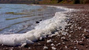 Çevresel sorun ve kirlilik, doğal bir rezervuarın ötrofikasyonu, kıyıdaki kirli köpük