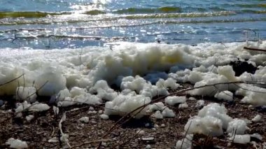 Çevresel sorun ve kirlilik, doğal bir rezervuarın ötrofikasyonu, kıyıdaki kirli köpük