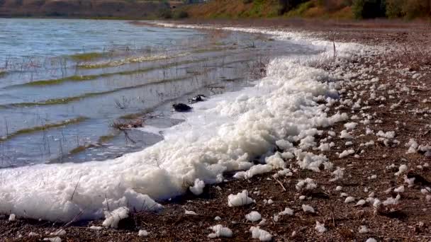 Çevresel Sorun Kirlilik Doğal Bir Rezervuarın Ötrofikasyonu Kıyıdaki Kirli Köpük — Stok video