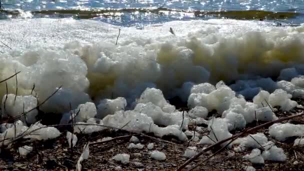 Environmental Problem Pollution Eutrophication Natural Reservoir Dirty Foam Shore — Stock Video