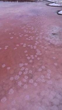 Kuialnyk Estuary, kristalize tuz sodyum klorür, bir su deposunun dibinde kristalize edilir.