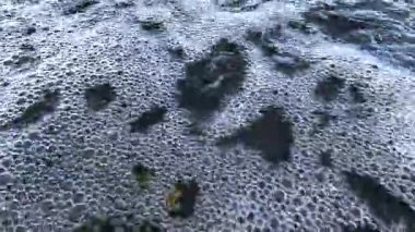 Yeraltındaki kaynaklardan Karadeniz 'e akan tatlı su yüzeyindeki beyaz köpük.