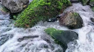 Tatlı su yüzeyinde yer altındaki kaynaklardan Karadeniz 'e akan beyaz köpüklü hava kabarcıkları.