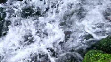 Tatlı su yüzeyinde yer altındaki kaynaklardan Karadeniz 'e akan beyaz köpüklü hava kabarcıkları.