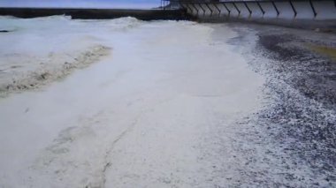 Çevre felaketi, denize dökülen ayçiçeği yağı Ukrayna 'nın Odesa kentindeki kumlu kıyıya vurdu.