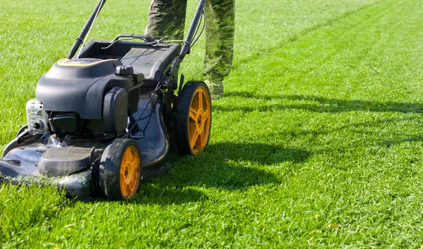 잔디 깎는 기계 잔디 — 스톡 사진