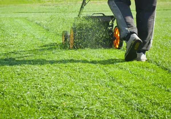 Rasenmäher Gras — Stockfoto