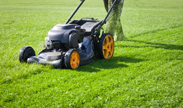 Gräsklippare gräs — Stockfoto