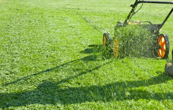 Gräsklippare gräs — Stockfoto