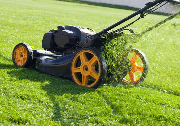 Lawn mower grass — Stock Photo, Image