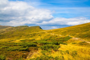 Ukrayna 'daki Karpat Dağları
