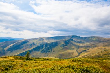 Ukrayna 'daki Karpat Dağları